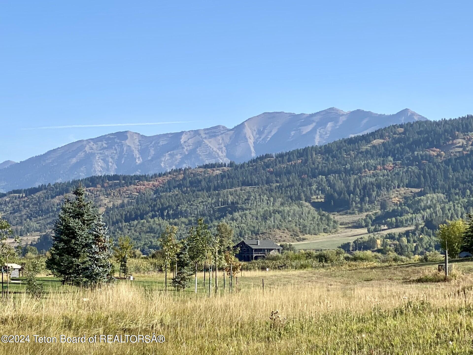 Ferry Peak View Corridor