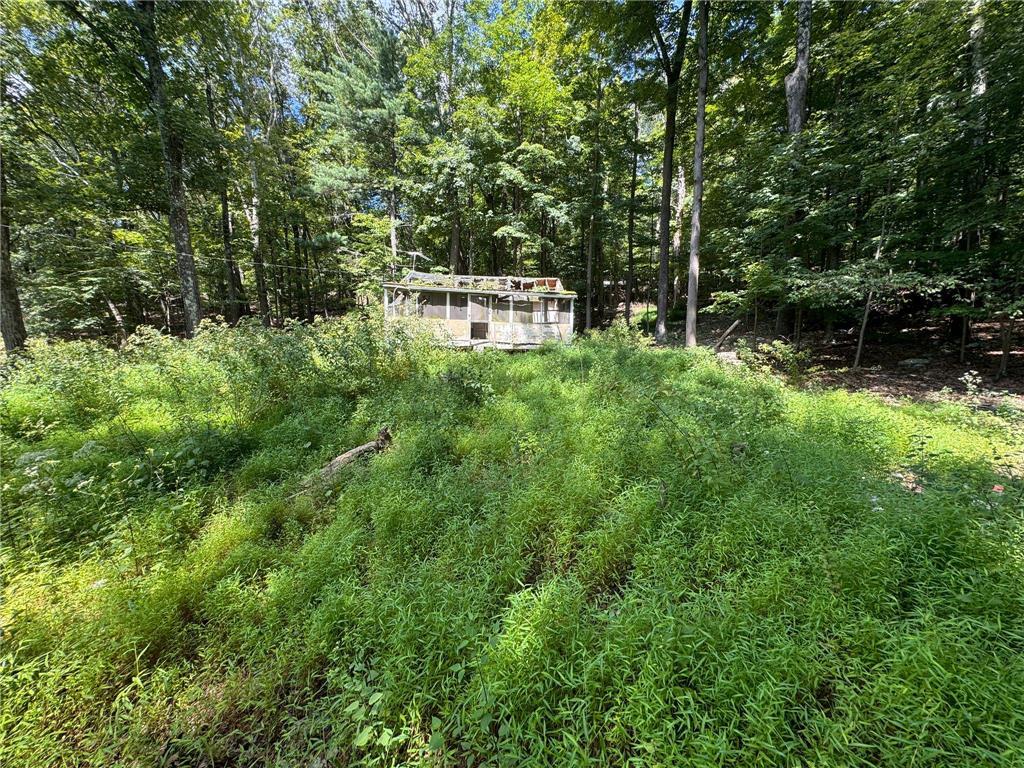 a view of house with a yard