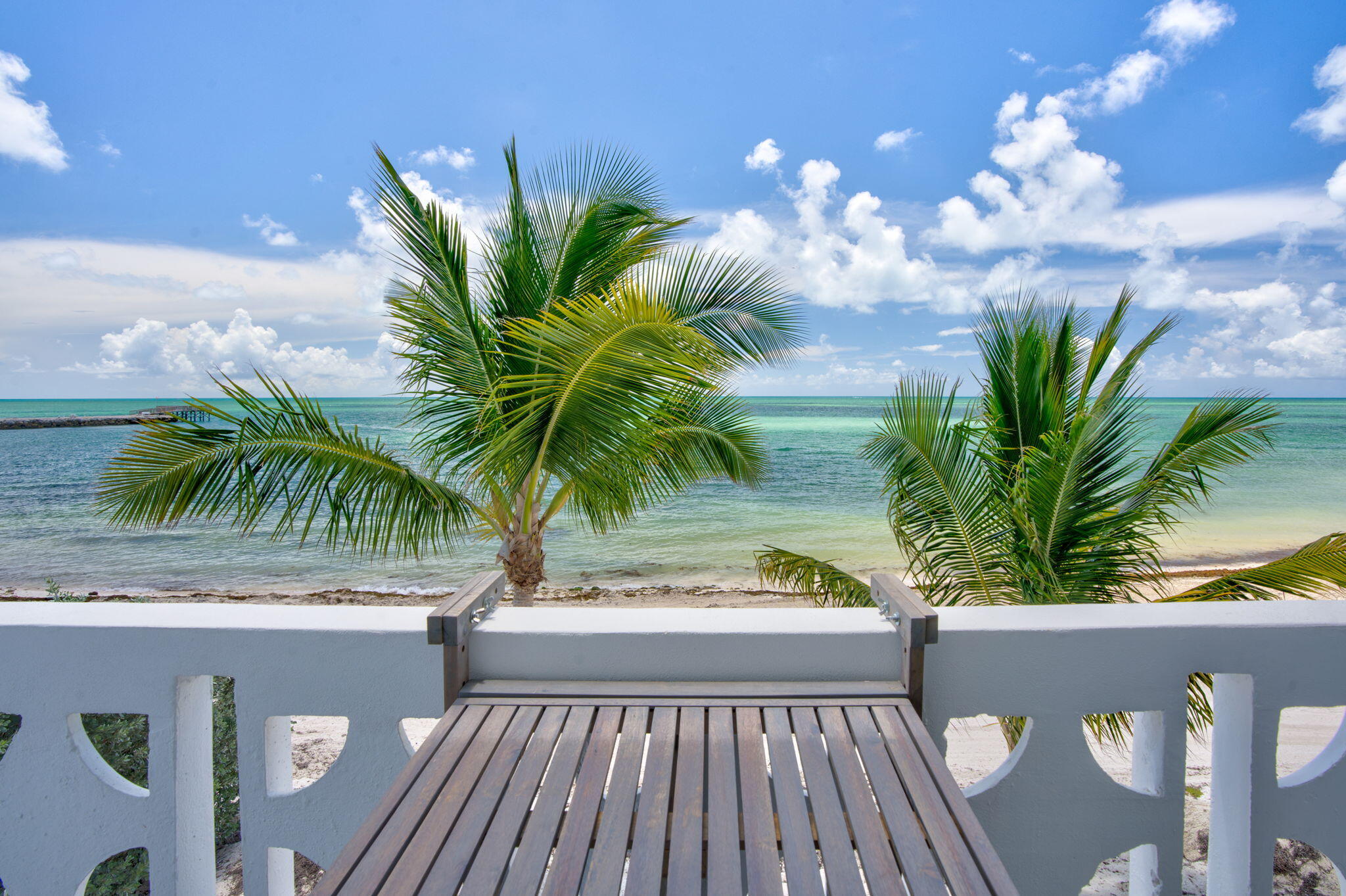 a view of a house with a palm tree