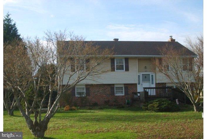 a view of a yard in front of a house with a large tree