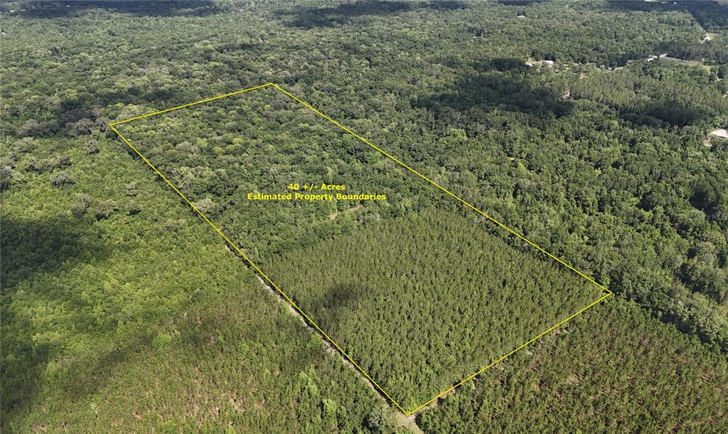 a view of a forest with a houses