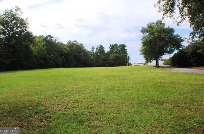 a view of a field with trees in the background