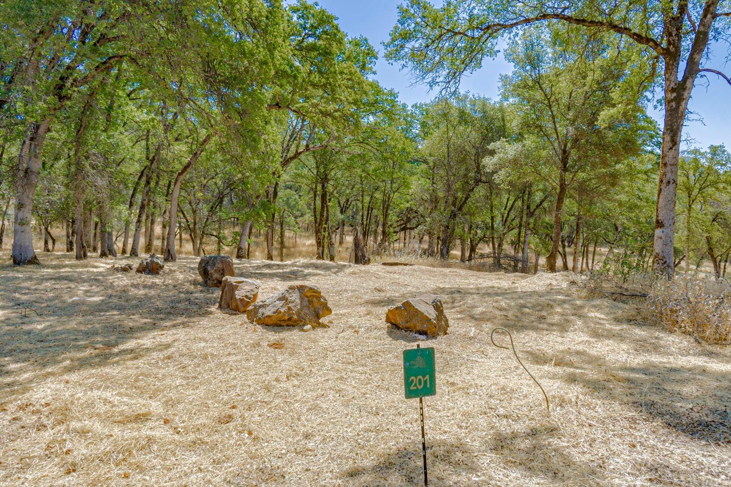 a view of yard with tree