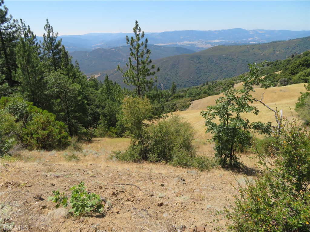 a view of a yard with a mountain