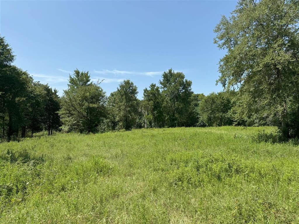 a view of field with trees in the background