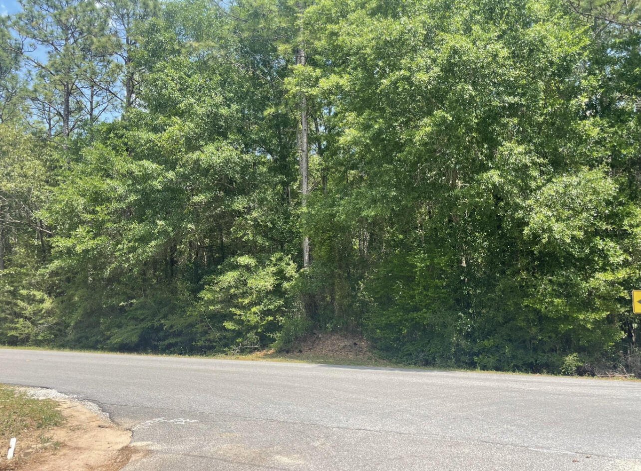 a view of a road from a yard