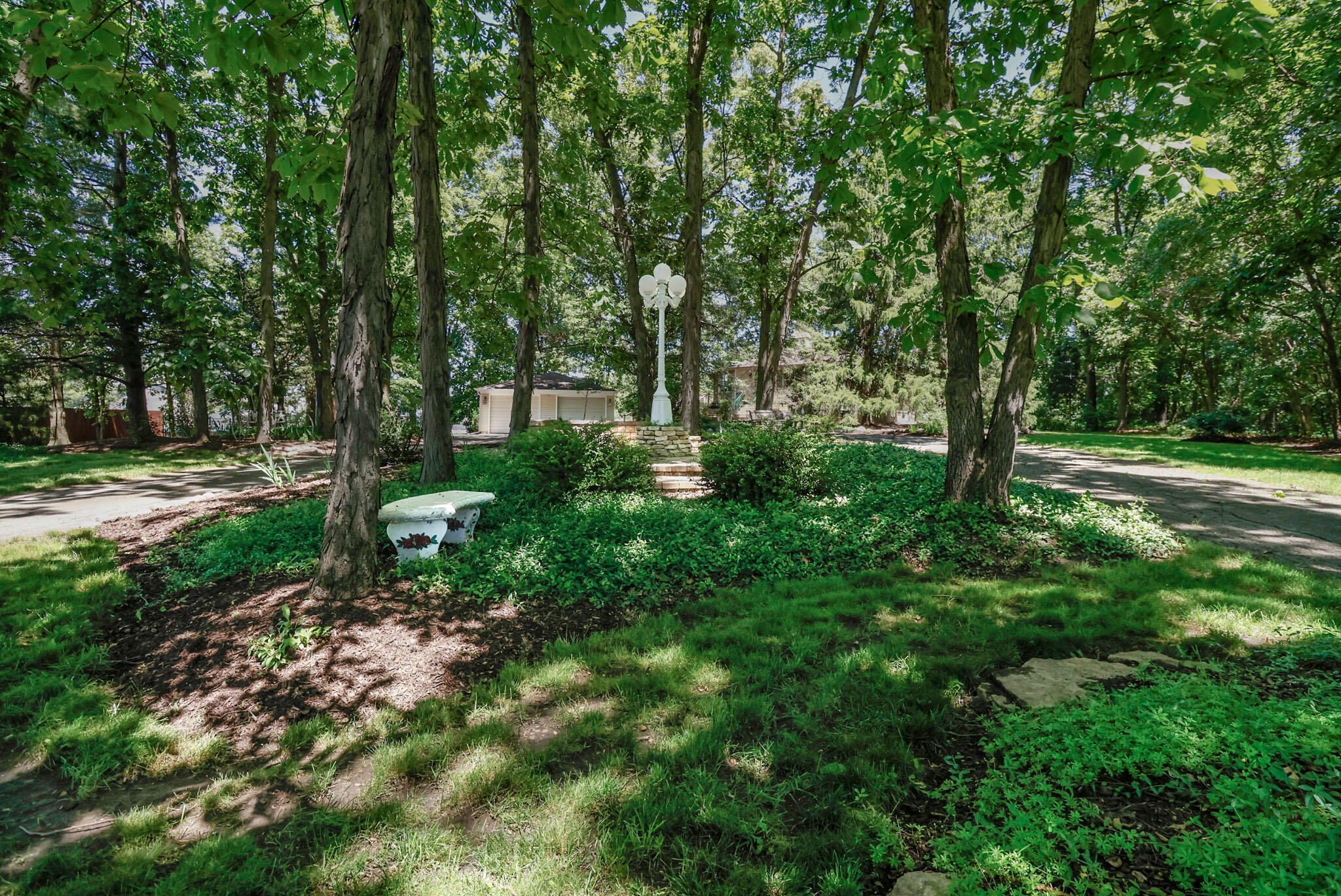 a view of a park that has large trees