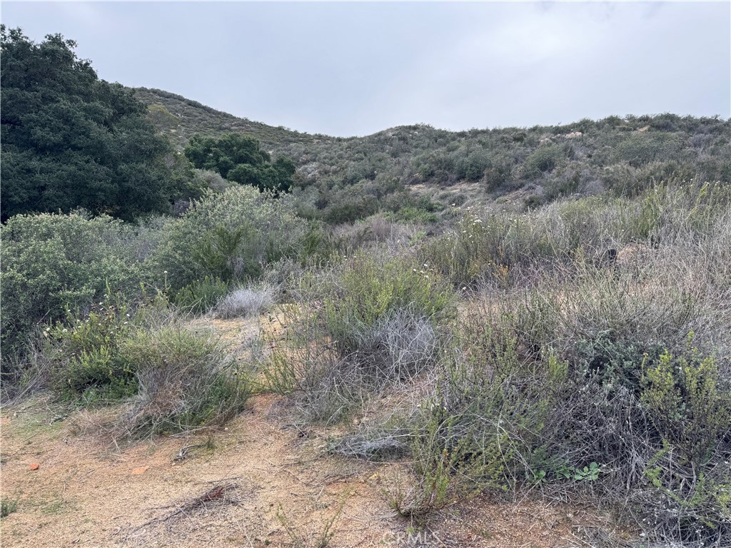 a view of a dry field