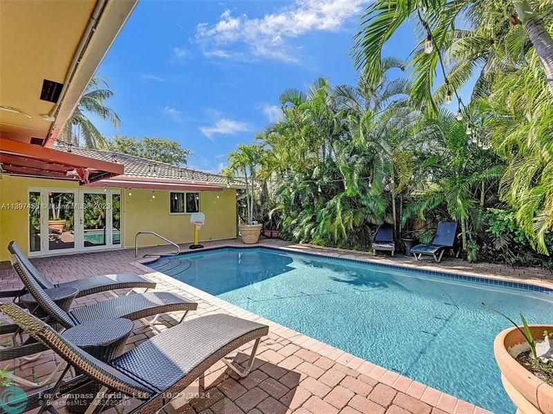 a view of a backyard with plants and patio