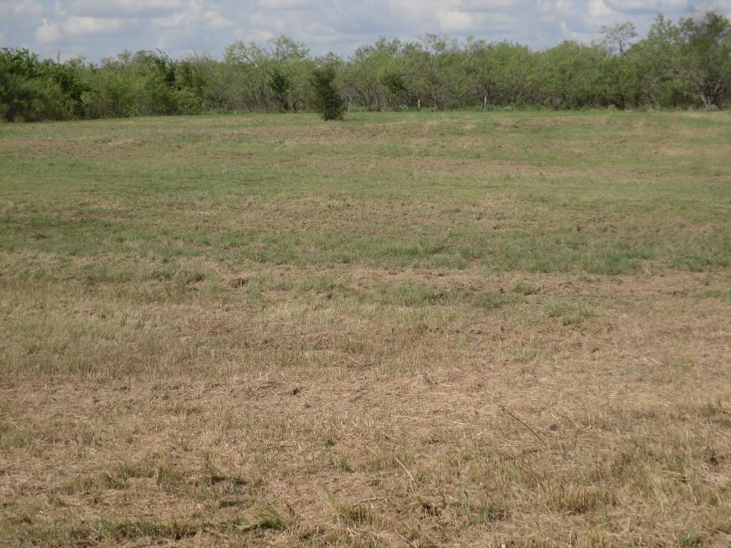 a view of outdoor space with green field and trees