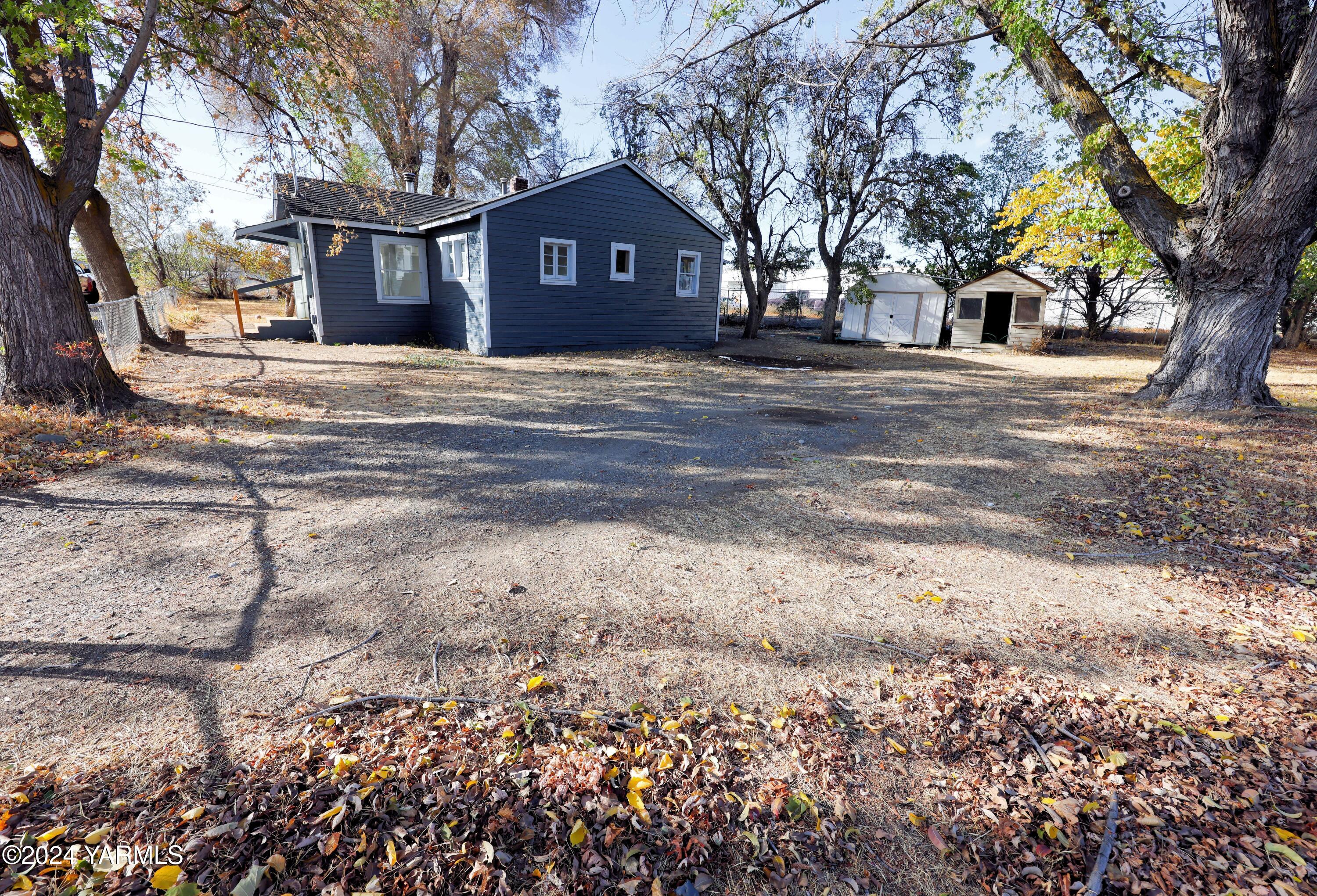 a view of a yard with a house and a large tree