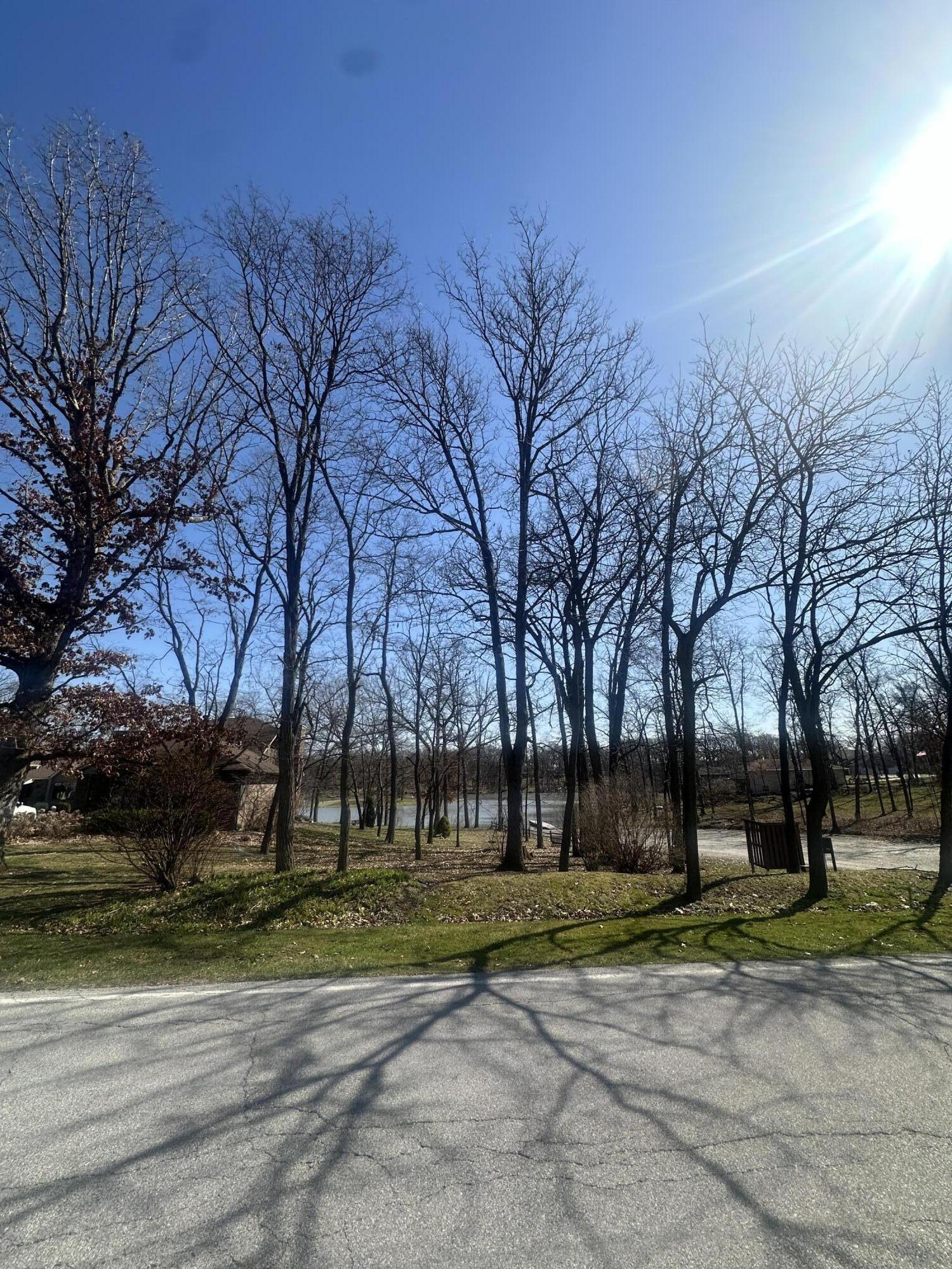 a view of a park with tree s