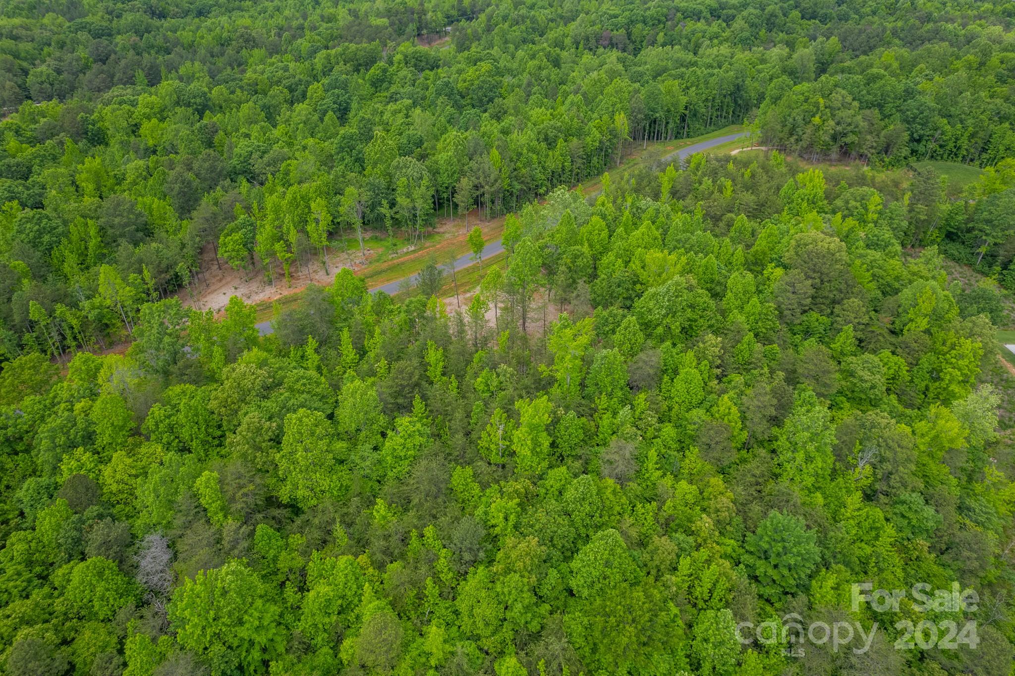 a view of a lush green space