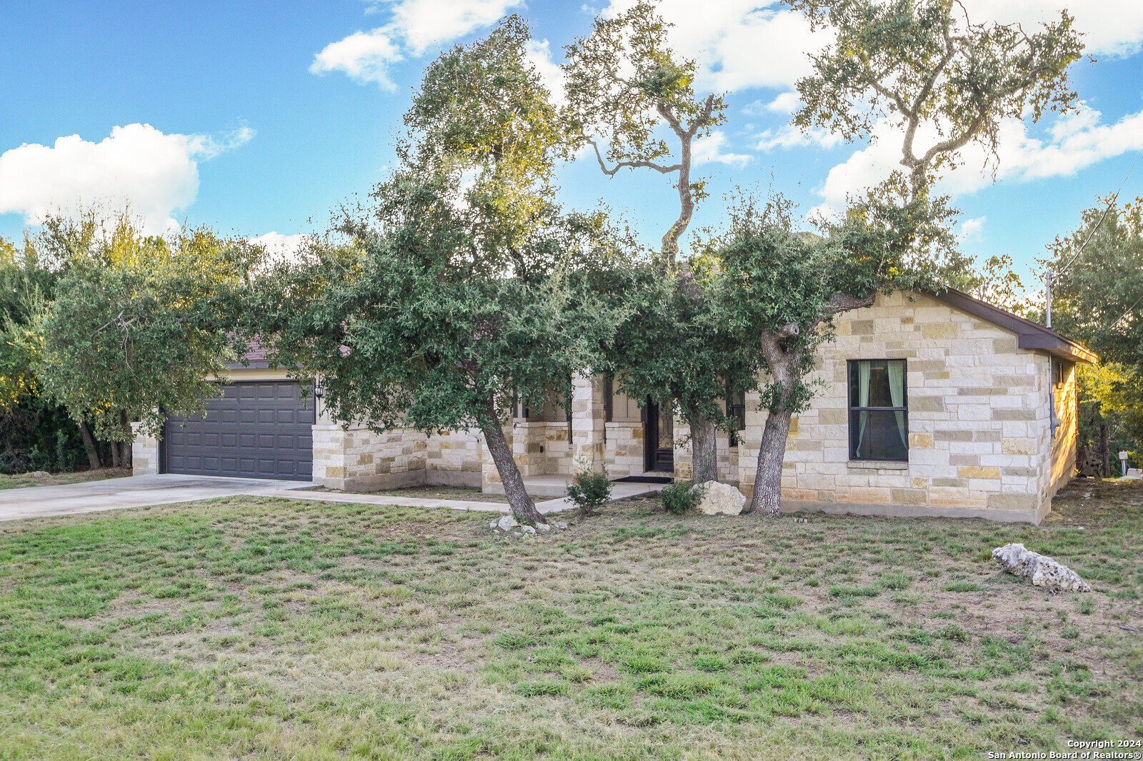 a backyard of a house with plants and large tree