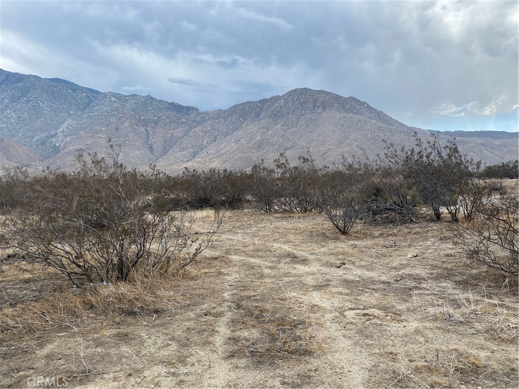 a view of a dry yard with mountains in the background