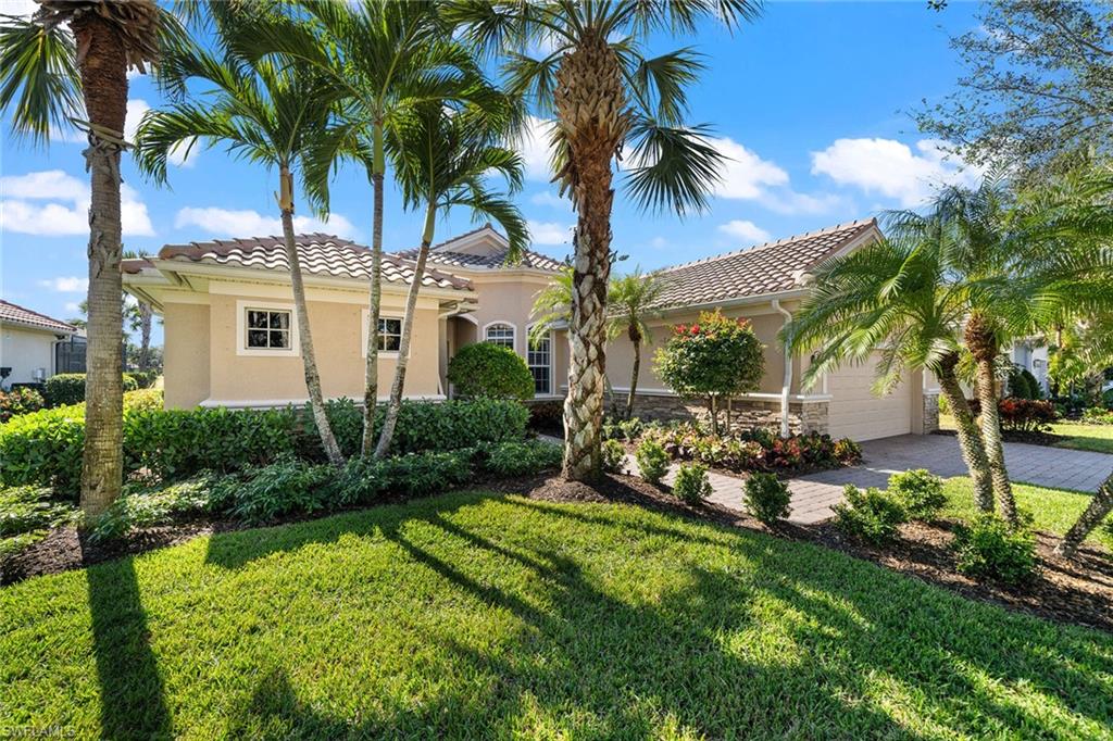 a view of a backyard with palm trees