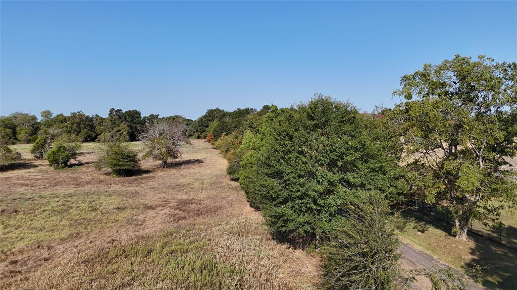 a view of a dry yard with trees in the background