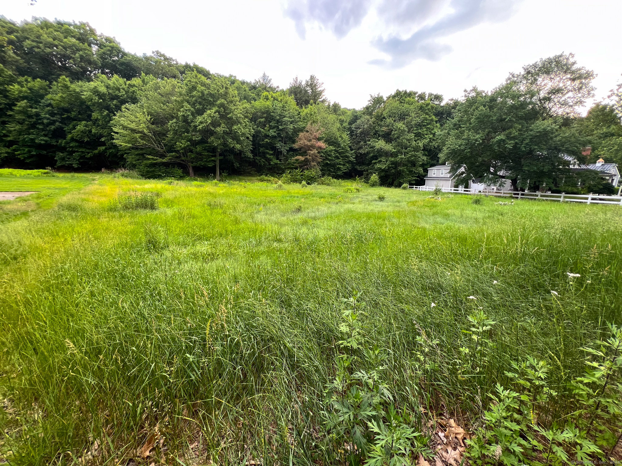 a view of a field with a trees in the background