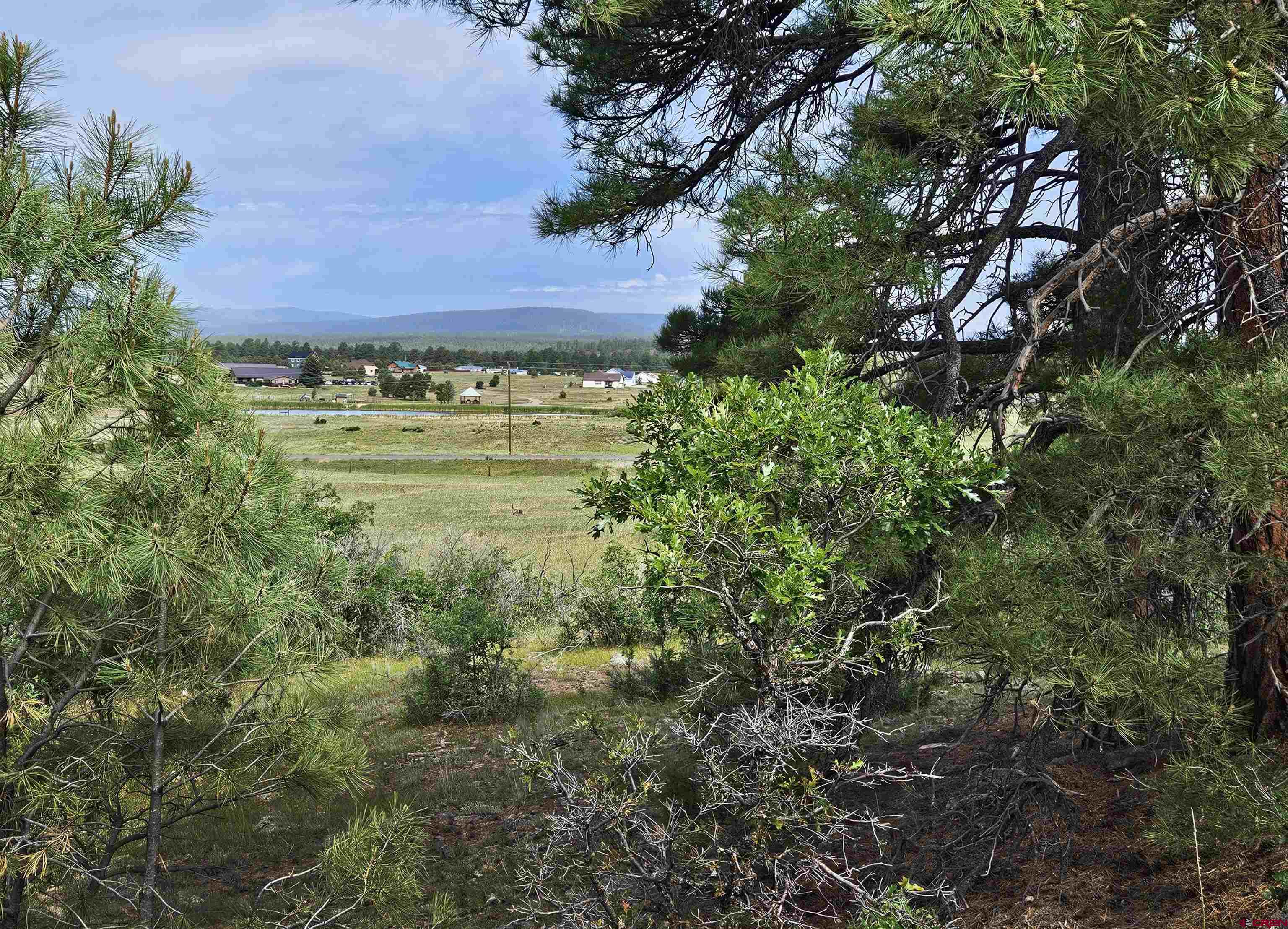 a view of a large yard with lots of green space