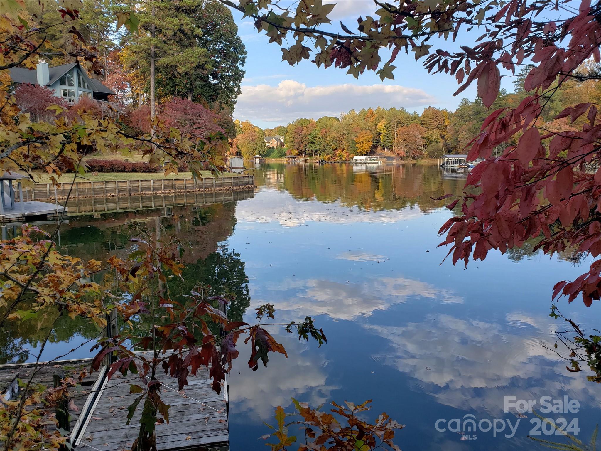 a view of a lake with a mountain in the background