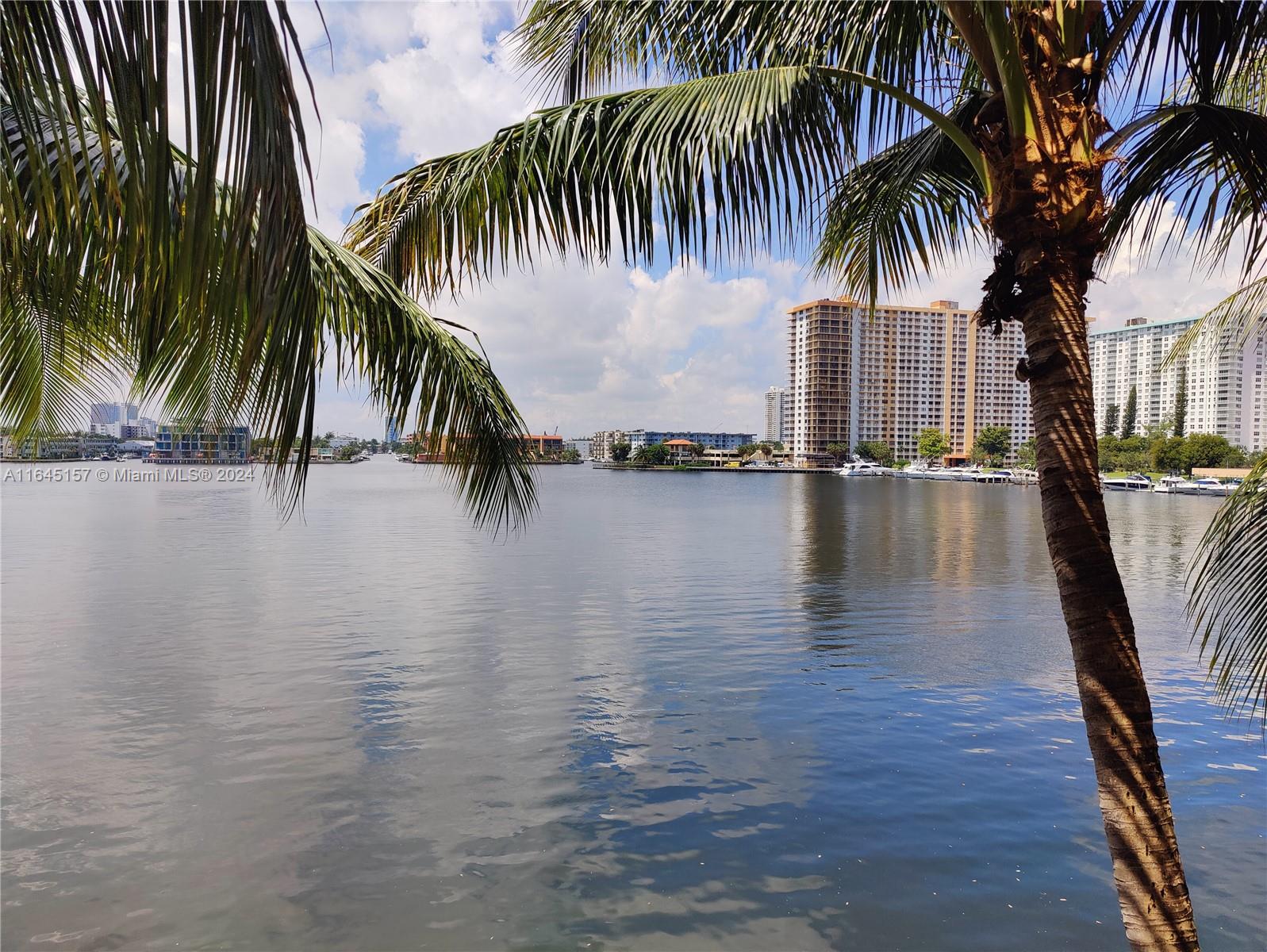 a view of a lake with palm trees