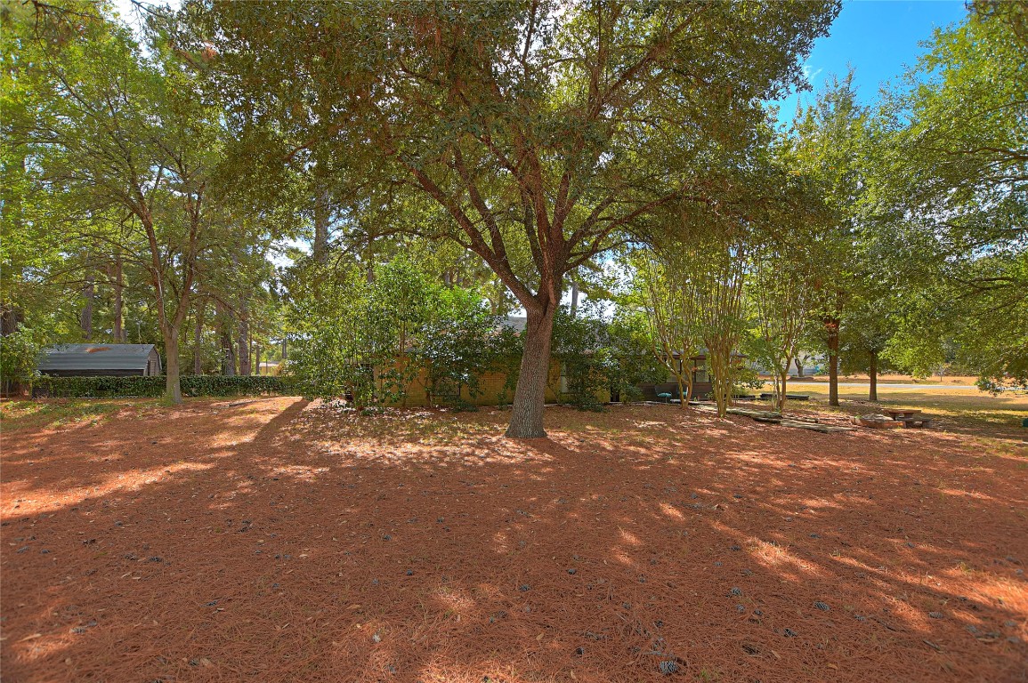 a view of a yard with a trees