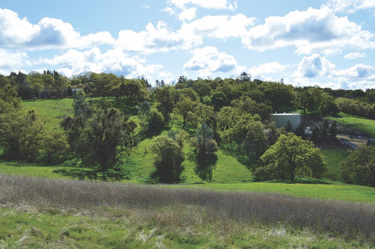 a view of a yard