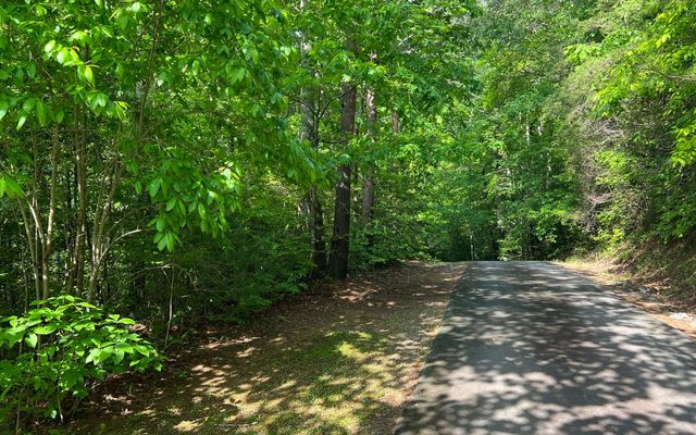 $13,900 | Lot 4 Chestnut Oaks Drive | Shoal Creek Township - Cherokee County