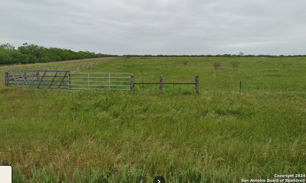 a view of a field with an ocean