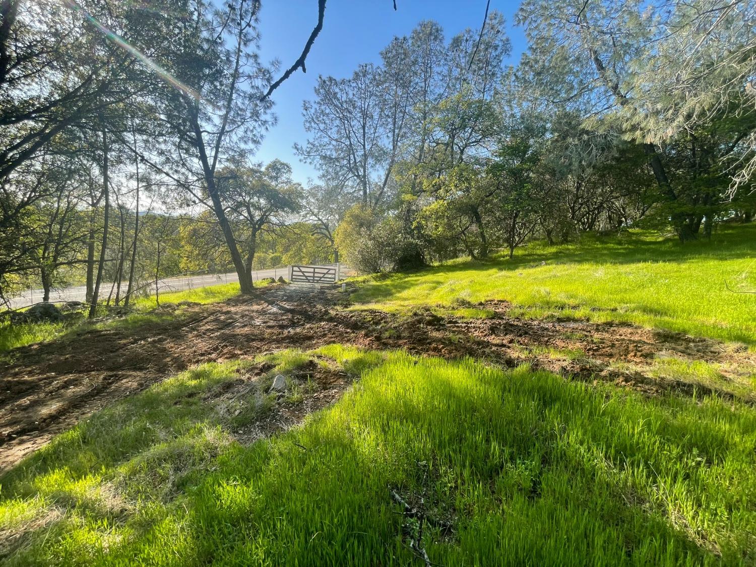 a view of a yard with a tree