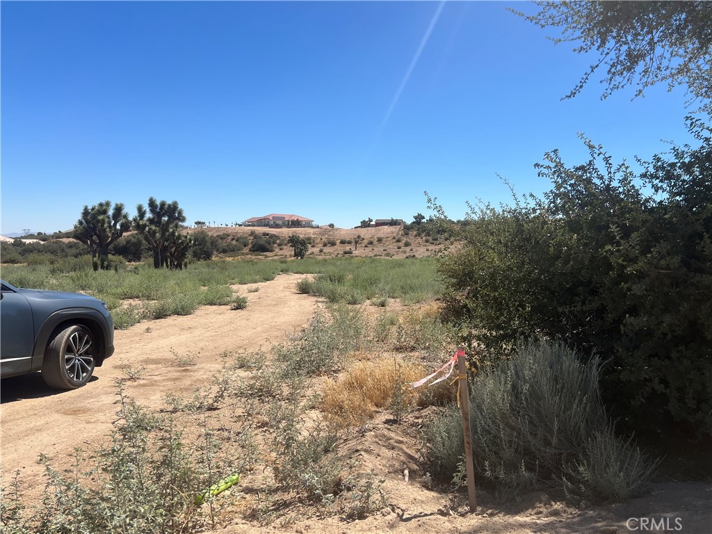 a view of a road with a yard