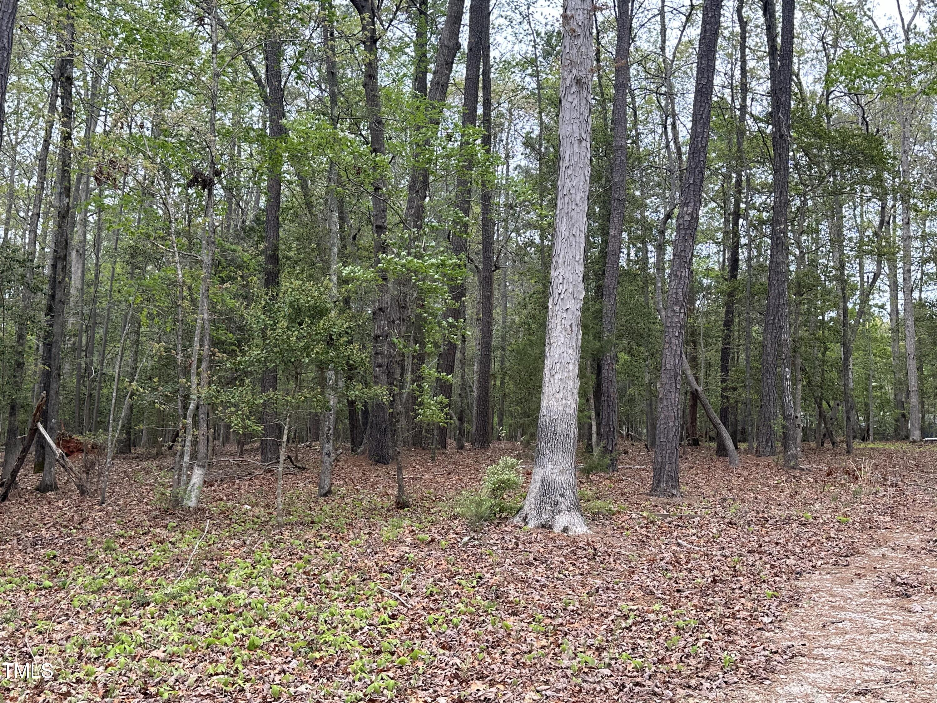 a view of outdoor space with lots of trees