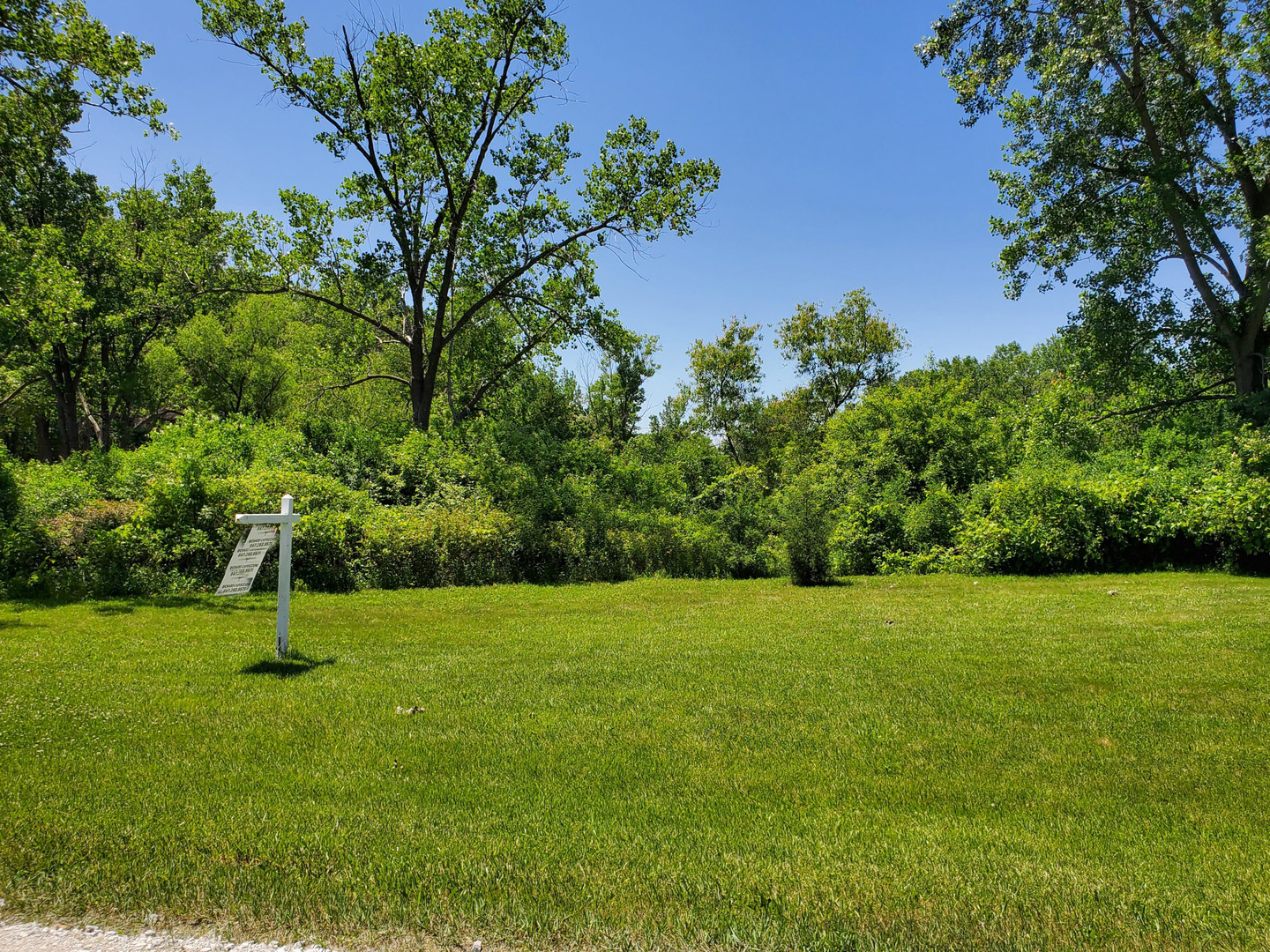 a view of a garden with a tree