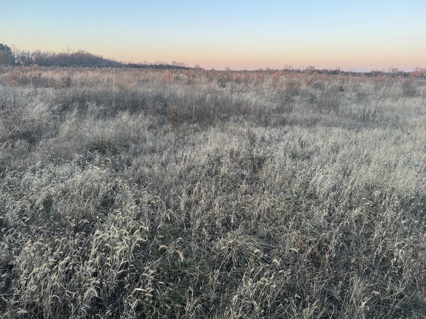 a view of a dry field