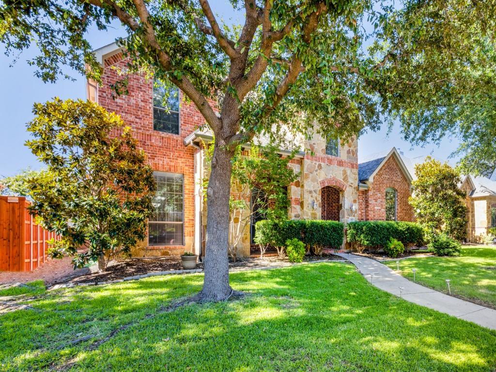 a backyard of a house with plants and large tree