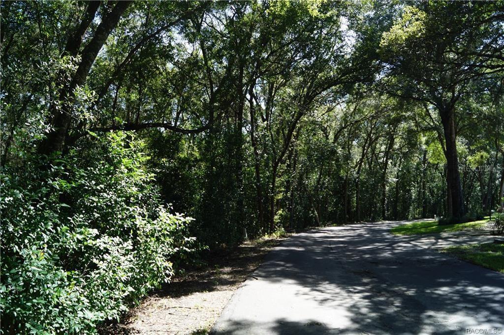 a view of a yard with a tree