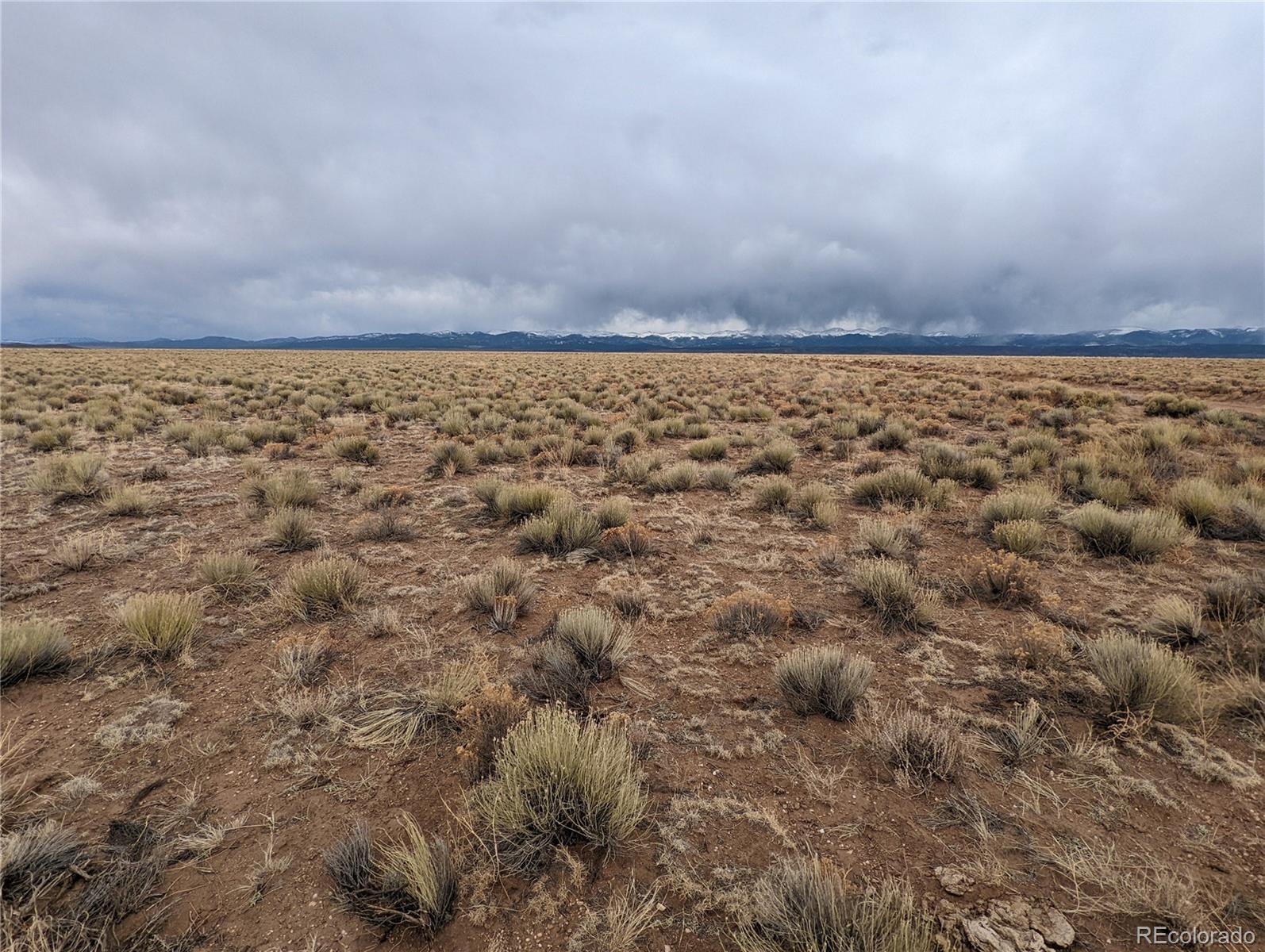 view of a dry yard