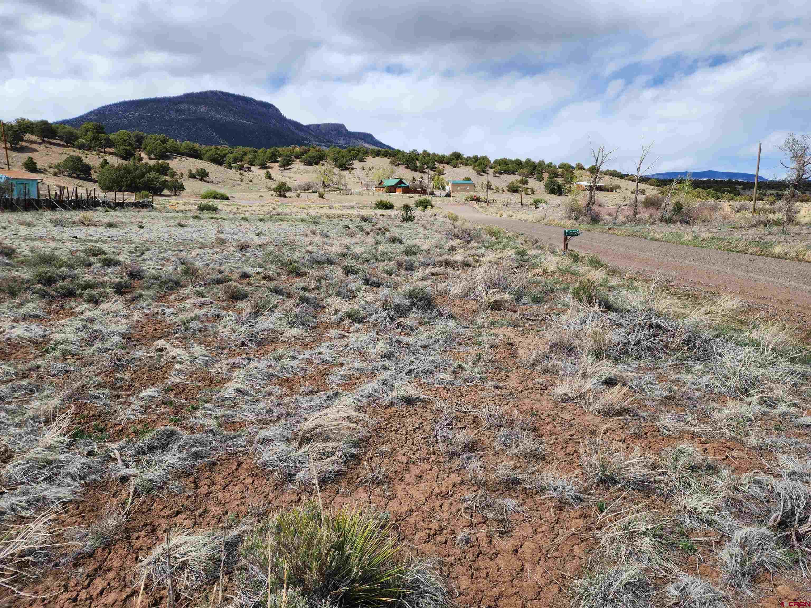 a view of a dry field with mountains in the background