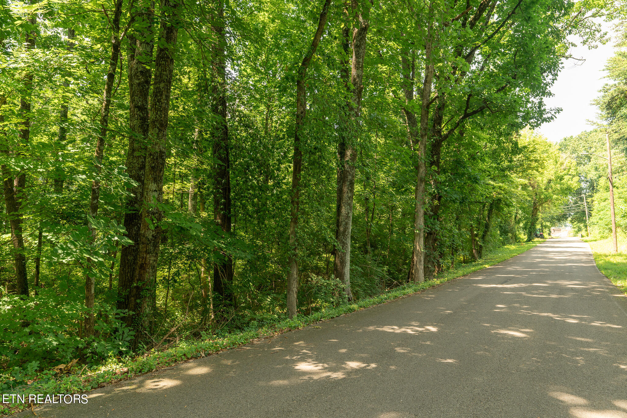 Road Front