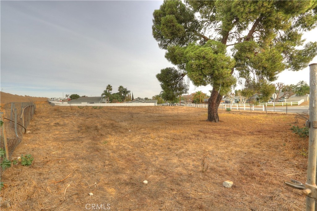 a view of yard with trees