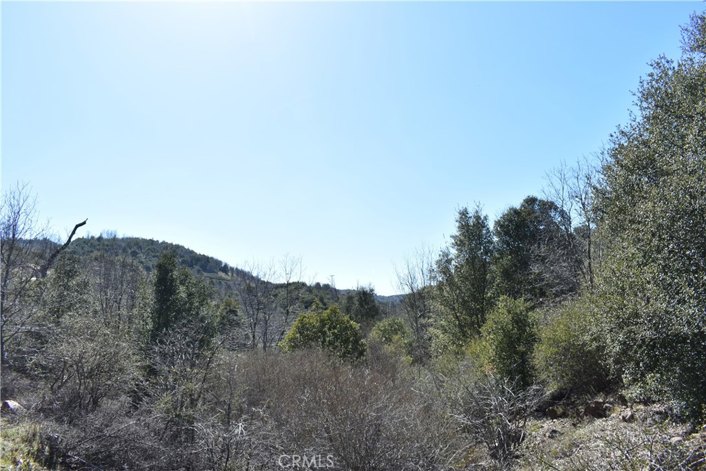 a view of a dry field