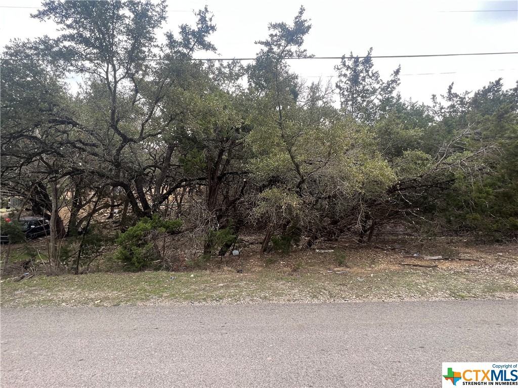 a view of a dry yard with trees