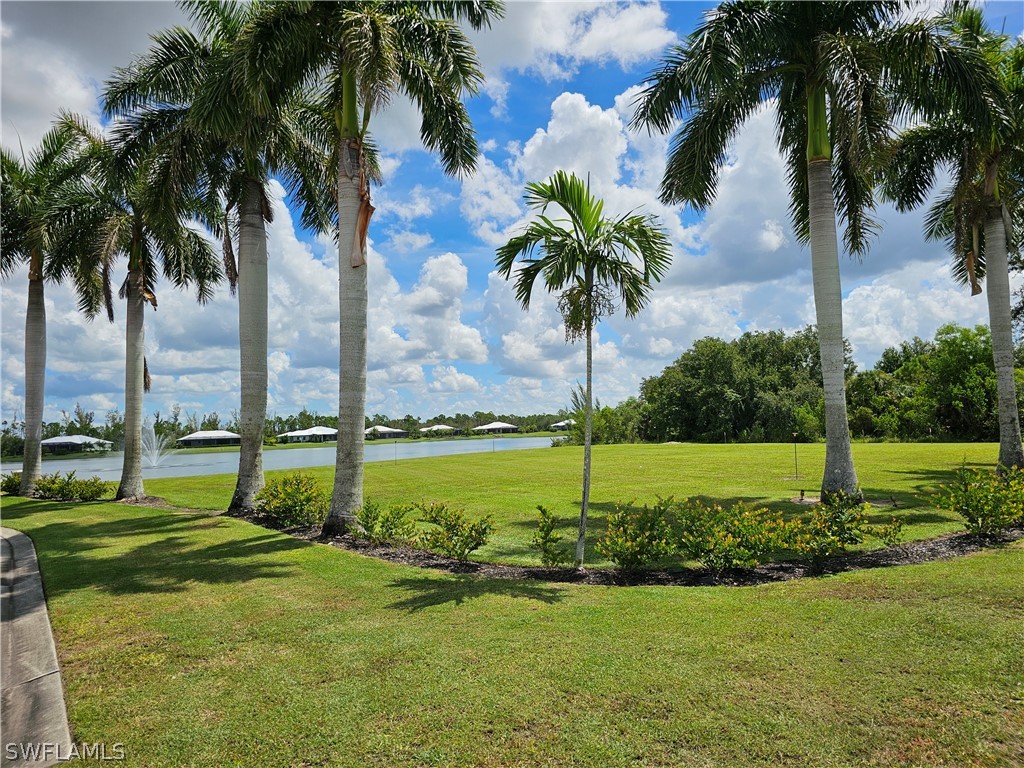 a view of a park and palm trees