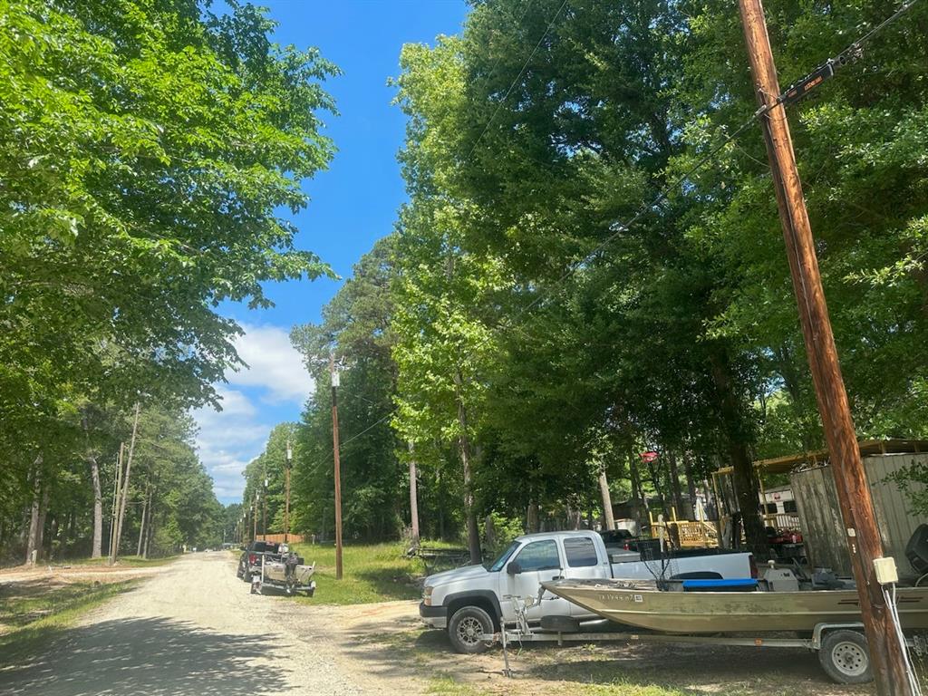 a view of a fire pit with large trees