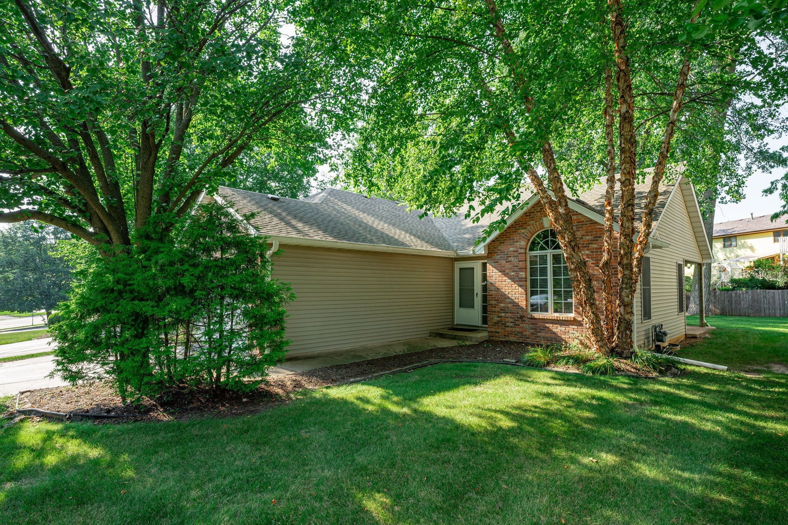 a view of a backyard with a large tree