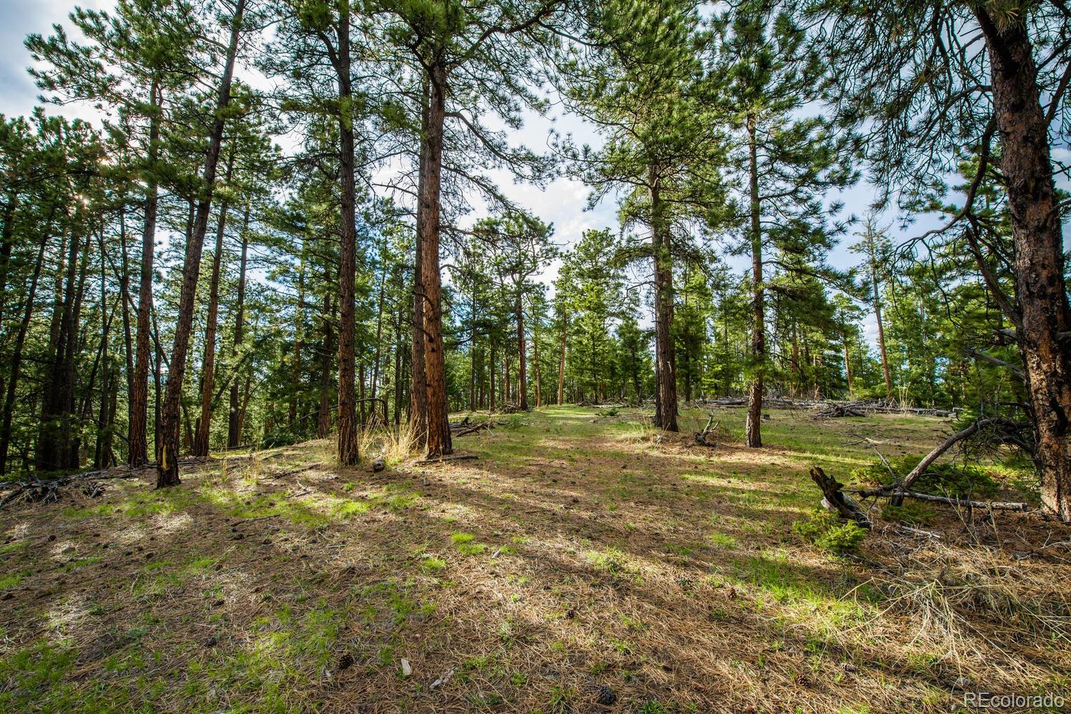 a view of outdoor space with trees