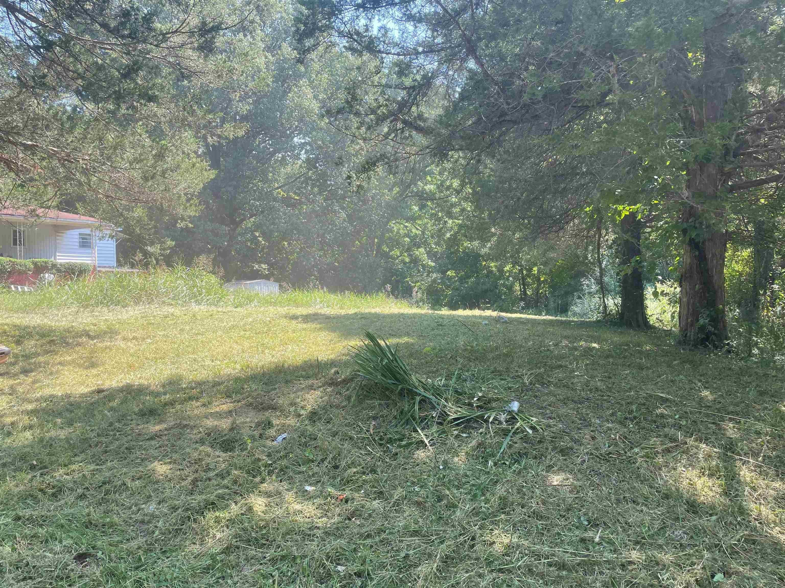 a view of a yard with a tree