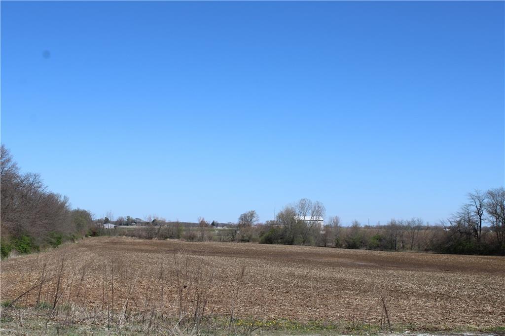 a view of a field with trees in background