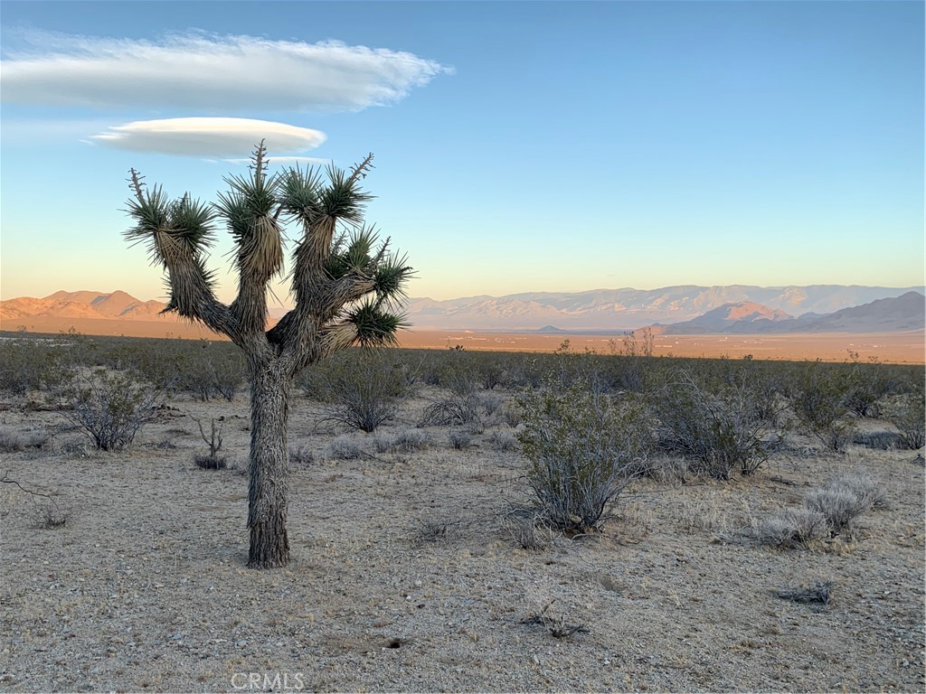 a view of a dry yard with mountain