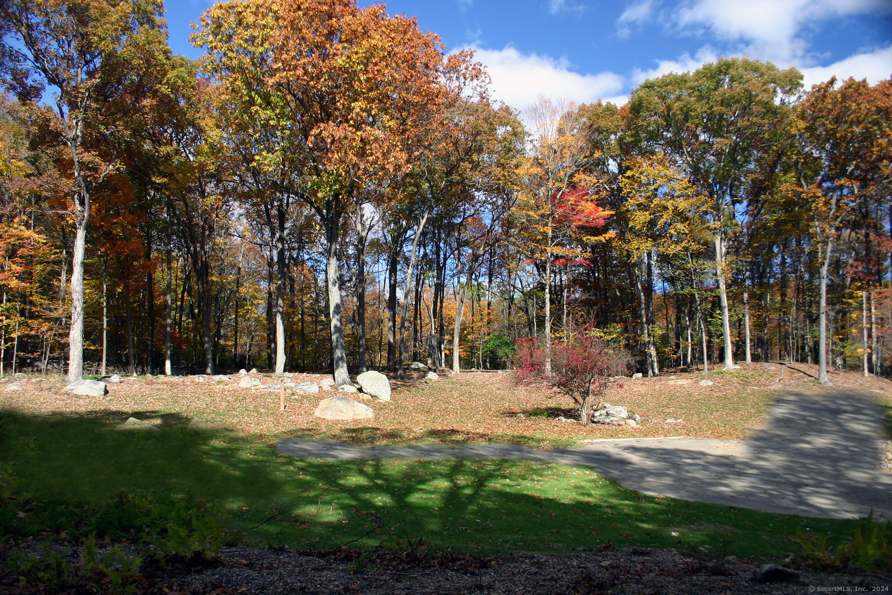 a view of outdoor space with trees